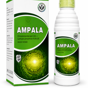 AMPALA