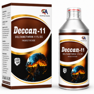 Deccan-11
