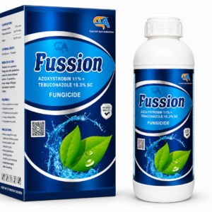 Fussion