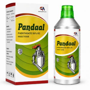 Pandaal