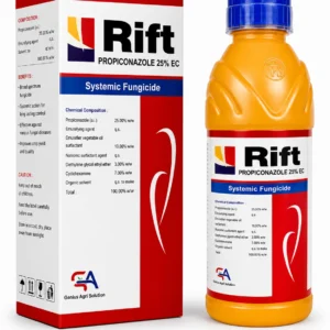 Rift