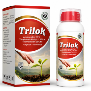 Trilok